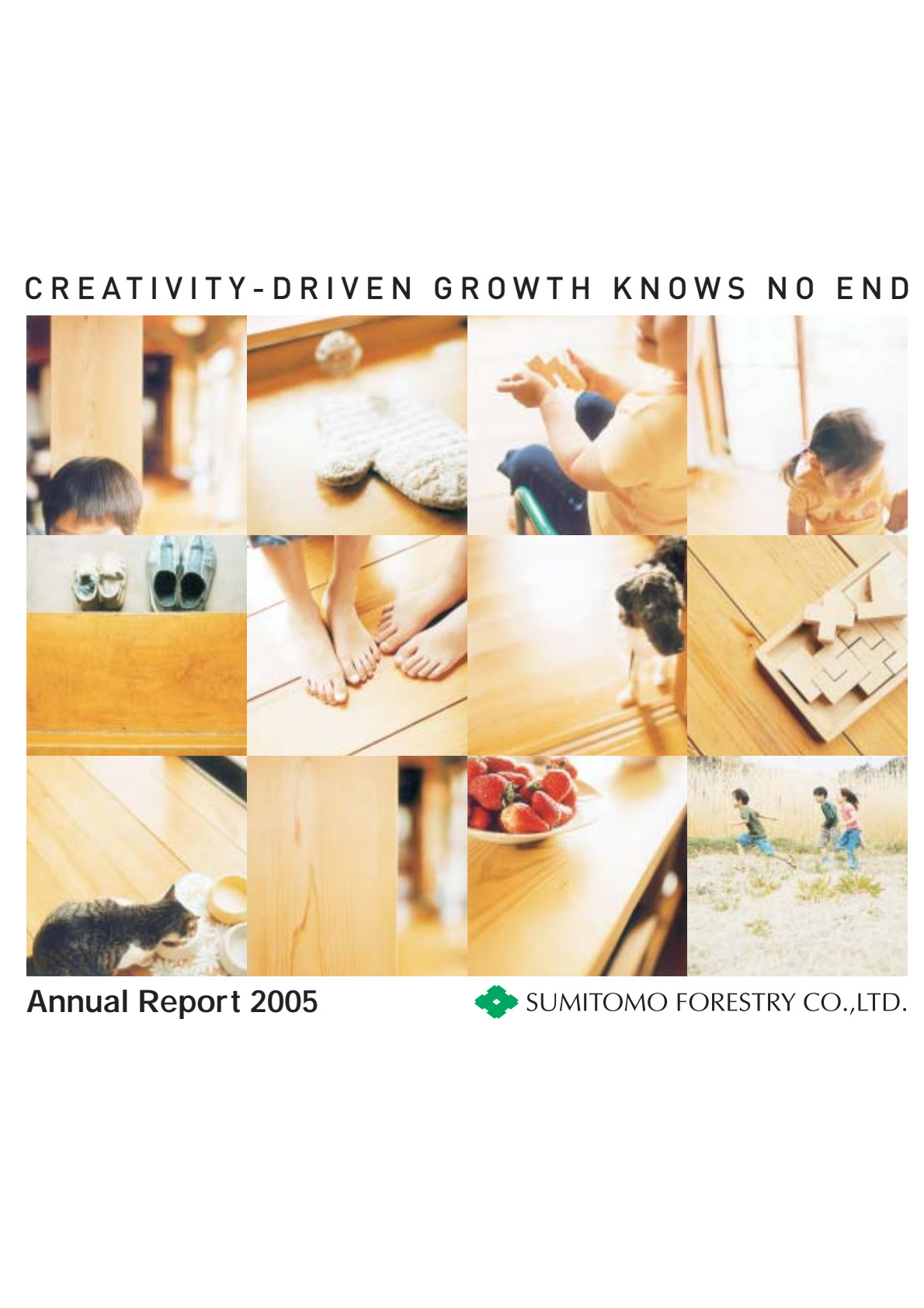 Annual Report 2005