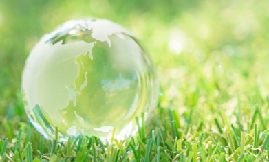 Medium-Term Management Plan